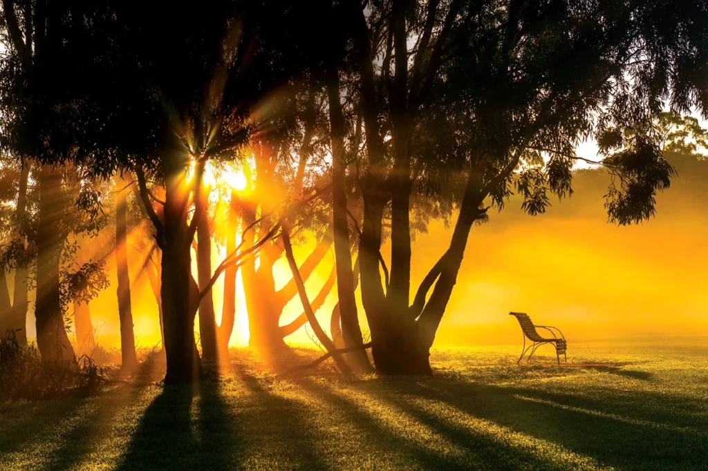 sobha hartland gallery image-3