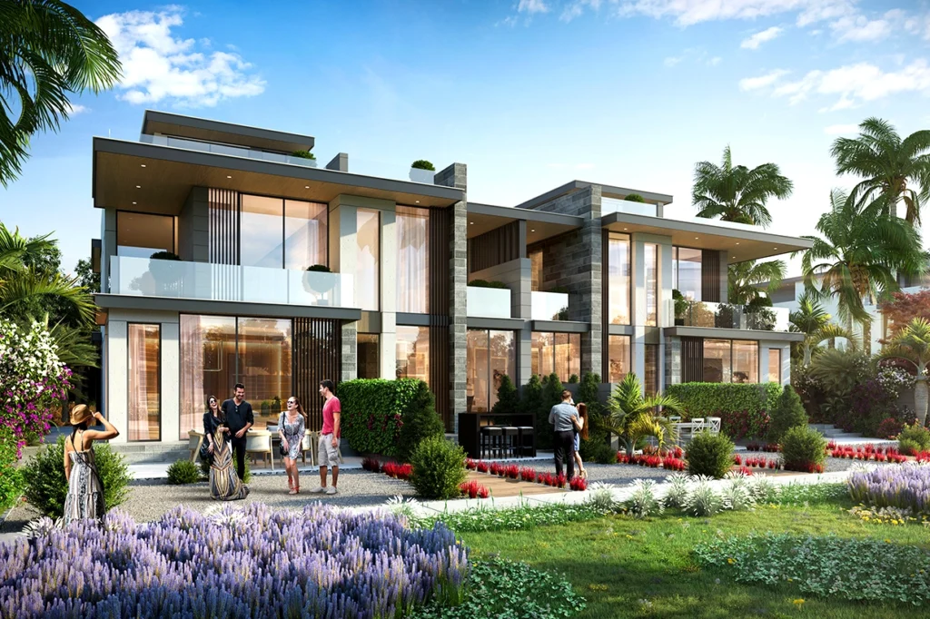 Phase 11 moroco gallery image-2